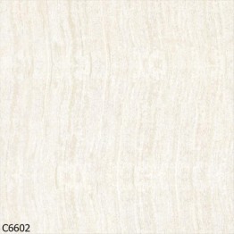 Gạch lát sàn Trường Thịnh SAND STONE C6602P